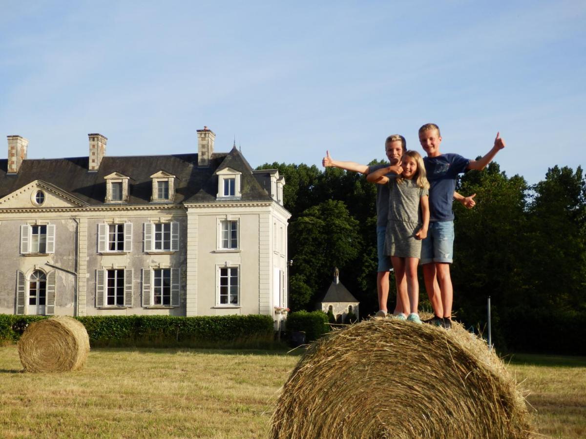 Les Bois-d'Anjou Chateau La Mothaye - Self Catering Apartments With Pool In The Loire Valley מראה חיצוני תמונה