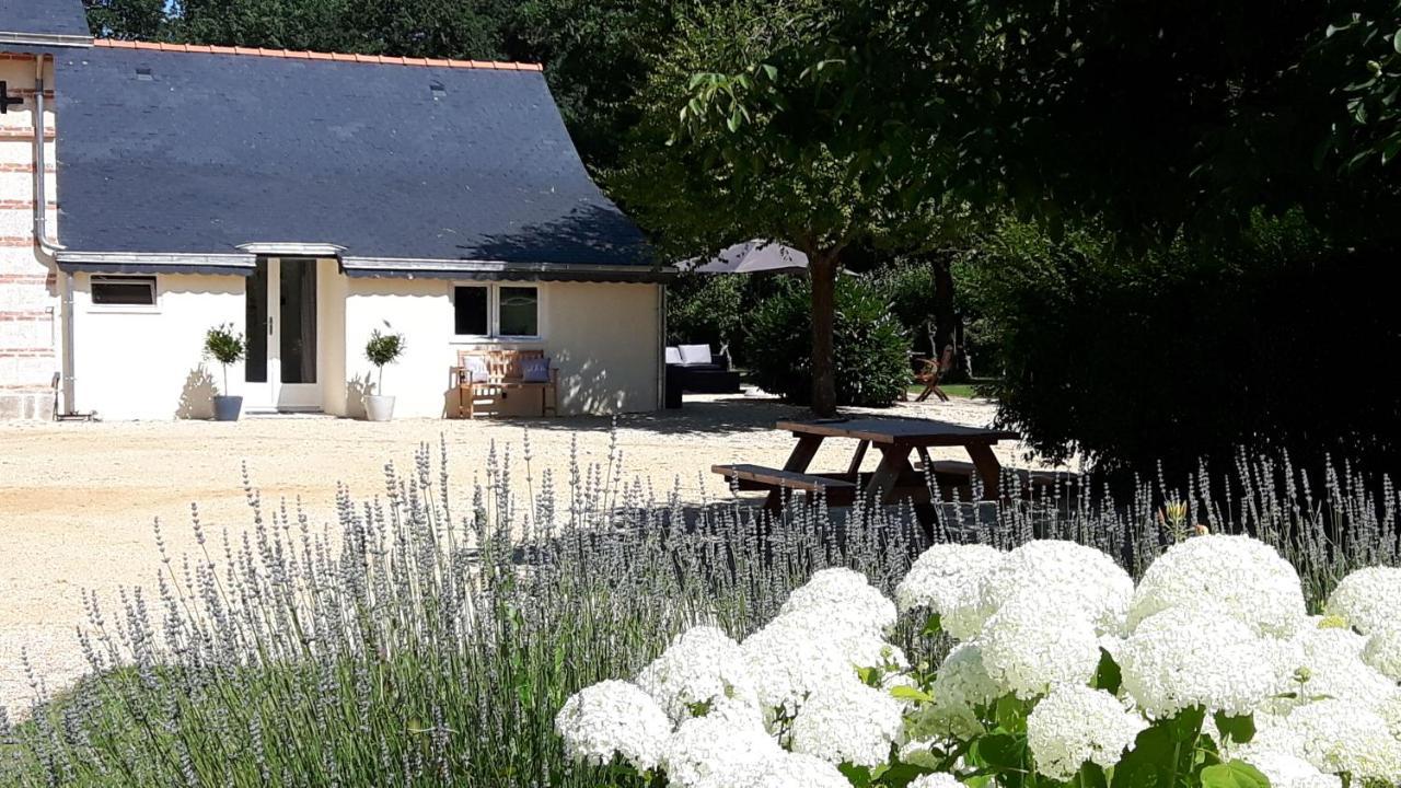 Les Bois-d'Anjou Chateau La Mothaye - Self Catering Apartments With Pool In The Loire Valley מראה חיצוני תמונה