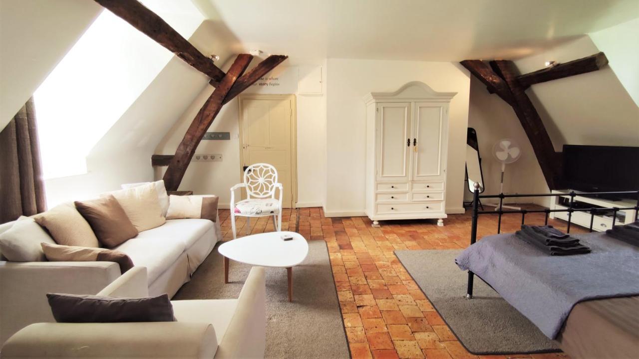 Les Bois-d'Anjou Chateau La Mothaye - Self Catering Apartments With Pool In The Loire Valley מראה חיצוני תמונה