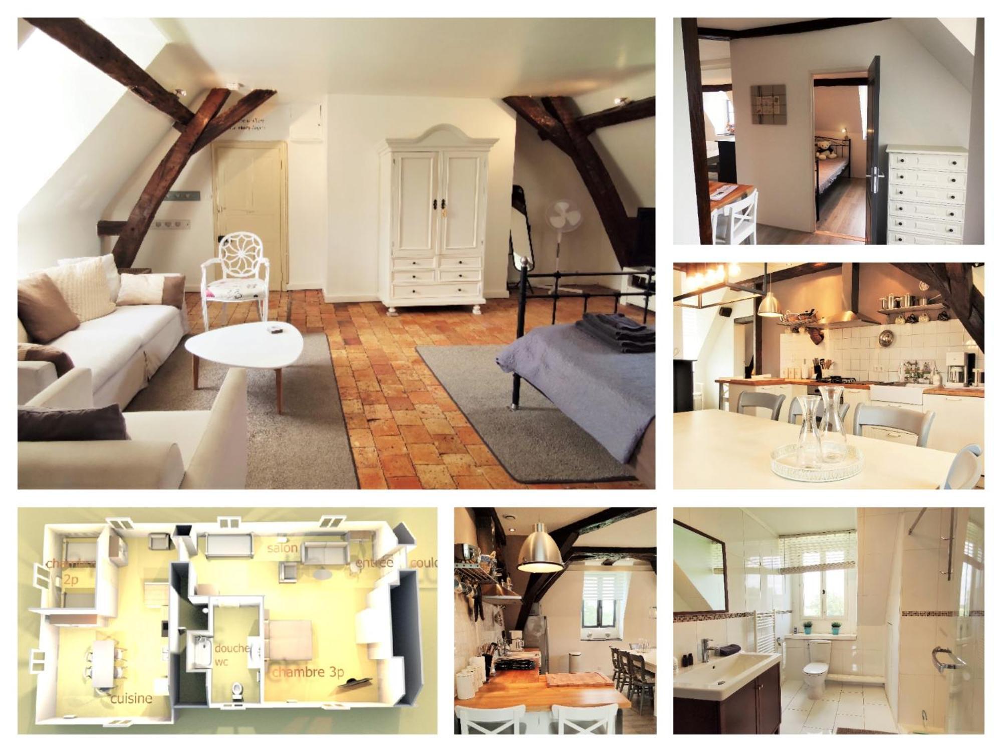 Les Bois-d'Anjou Chateau La Mothaye - Self Catering Apartments With Pool In The Loire Valley מראה חיצוני תמונה
