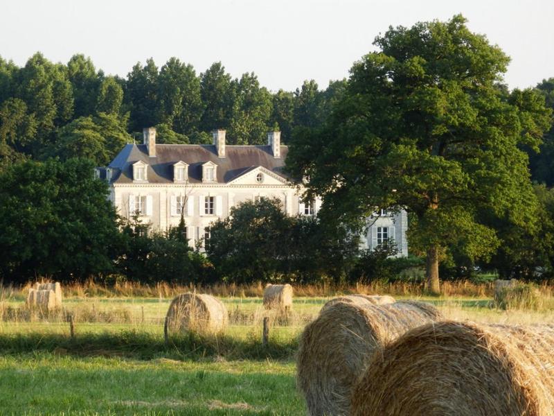 Les Bois-d'Anjou Chateau La Mothaye - Self Catering Apartments With Pool In The Loire Valley חדר תמונה